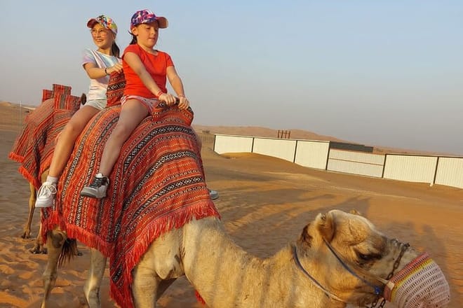 Camel Ride