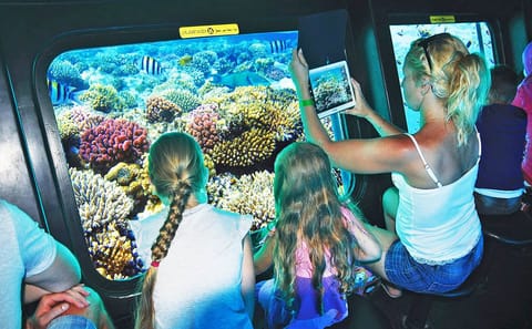 Royal Sea Scope Premium | Semi-Submarine Adventure & Coral Reef Experience in Hurghada