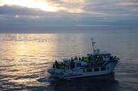 Whales & Sea Angling 10