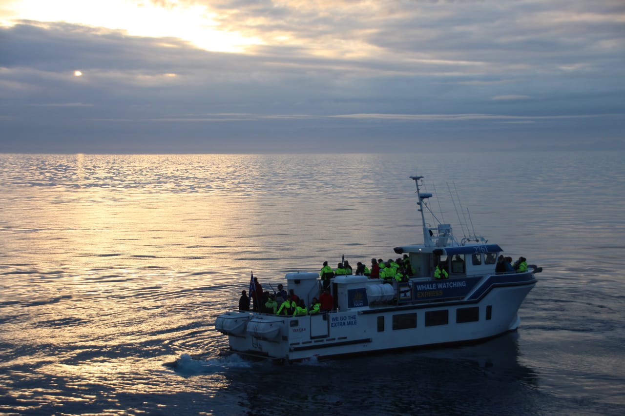 Whales & Sea Angling 10