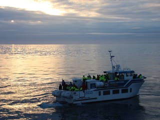 Whales & Sea Angling, photo 10