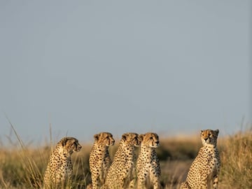 Golf and Safari – Group Package (6 Nights)