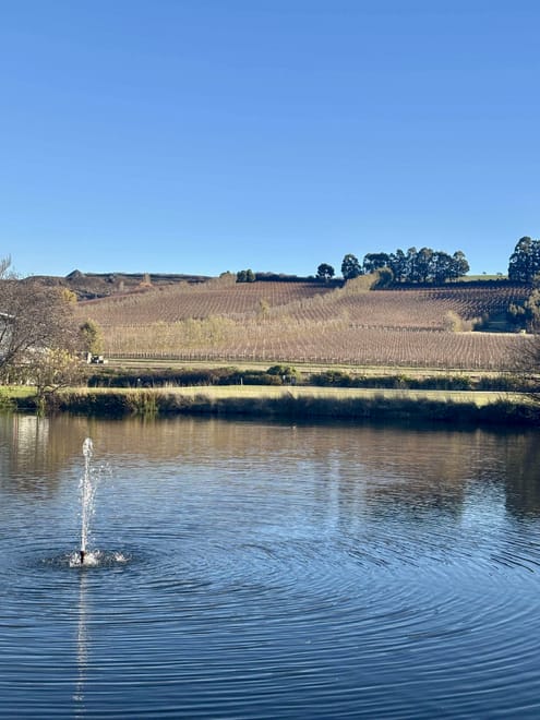 Locals’ Launceston Tour: Hobart to Launceston via Wineries (~ 8 hours) photo 4