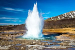 Exclusive Golden Circle Tour with Icelandic Farm Experience