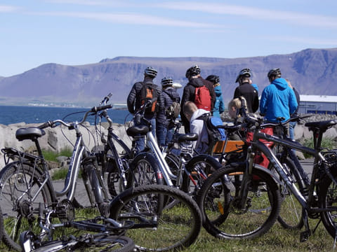 Coast of Reykjavik Private Bike Tour, photo 4