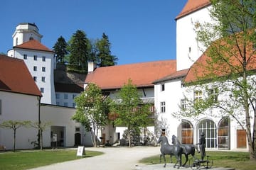 Passau Castle Tour with Views from Linde Battery and St. George's Chapel