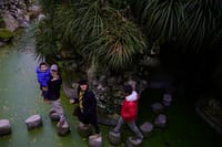 Gardens in Sintra