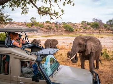 8 Days Tarangire to Ndutu & Serengeti – Wildebeest Calving & Big Game