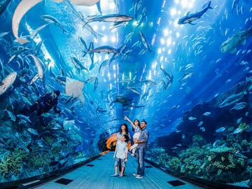 Dubai Mall Tour: Shopping, Aquarium, Burj Khalifa & Fountain Show