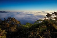 Hortan Plains Tour From Kandy 7
