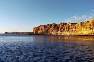 Ras Mohammed & White Island VIP Cruise with Seafood Lunch
