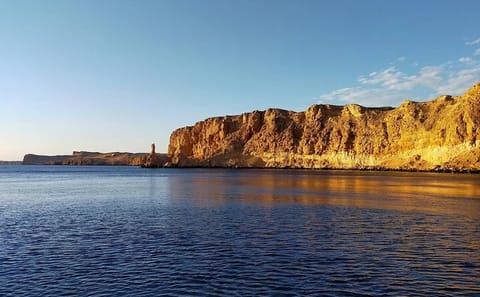 VIP Ras Mohammed and White Island Cruise with Seafood Lunch