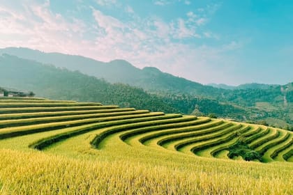 Private Car 2 Days 1 Night Hoang Su Phi in Hagiang