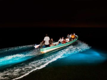Eco-tour of Belize’s glowing lagoons