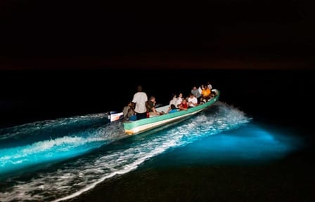 Bioluminescent Night Adventure in Hopkins, Belize