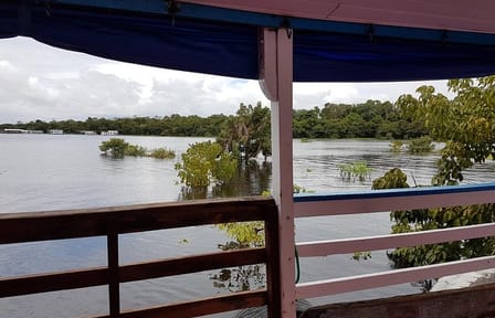 4-Day Amazon River Boat Tour Experience from Manaus