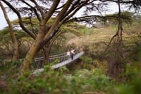 Bridge at Ololo Lodge