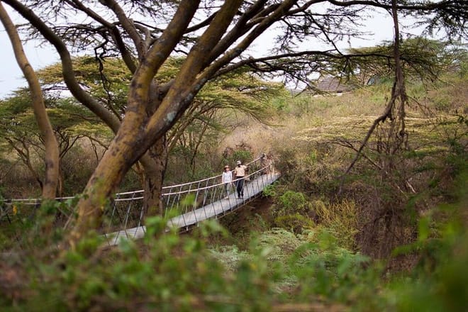 Bridge at Ololo Lodge