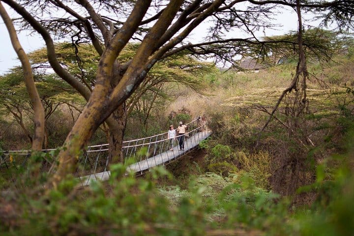 Bridge at Ololo Lodge