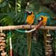 Bird Park