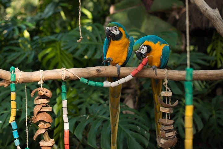 Bird Park