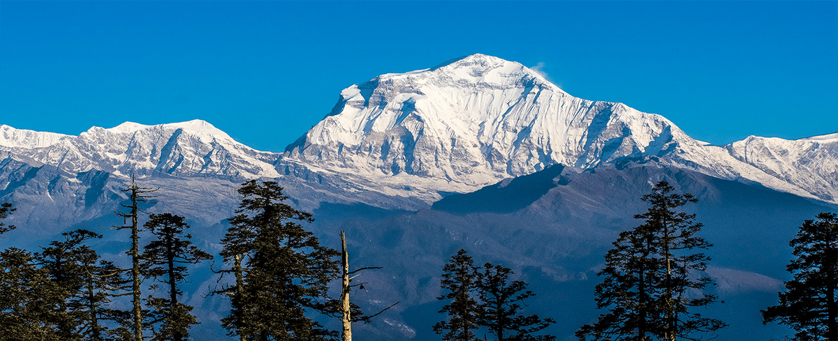 Mohare Danda Trek : A short trek to Annapurna Range