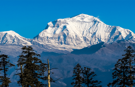 Mohare Danda Trek : A short trek to Annapurna Range