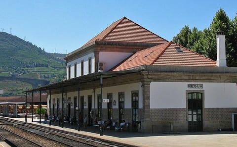 Boat Trip from Porto to Régua in the Douro Valley with Meals