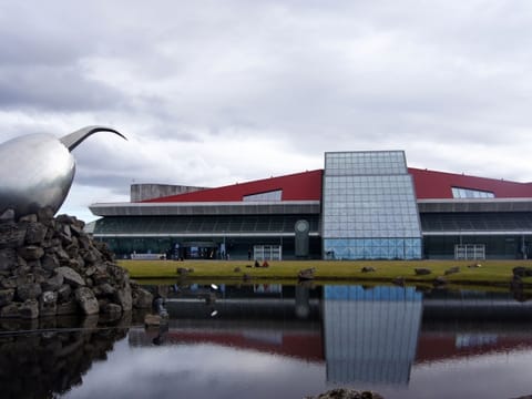 Private Airport Transfer - Keflavík airport to Reykjavík, photo 2