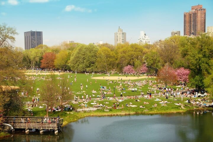 Central Park Outdoor Escape Adventure