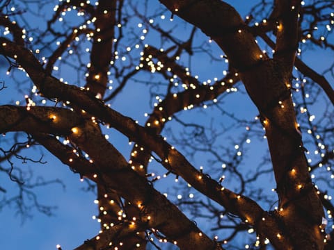 Christmas lights in Reykjavík