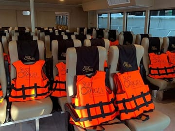 Phi Phi Islands Day Tour by Bigboat from Phuket