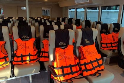 Phuket: Phi Phi Islands by Bigboat with Sea Angel