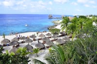  Sea Lion Discovery at Cozumel  1