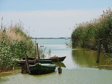 From Valencia a boat ride in the Albufera Musement