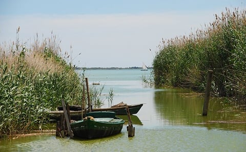 From Valencia a boat ride in the Albufera Musement