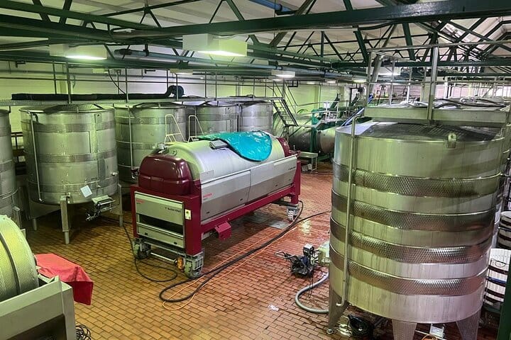 Giraffe Encounter and Lion Park with Wine Tasting in Stellenbosch