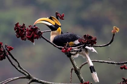 14 Days Cultural Journey With Nature Trek in Central Bhutan