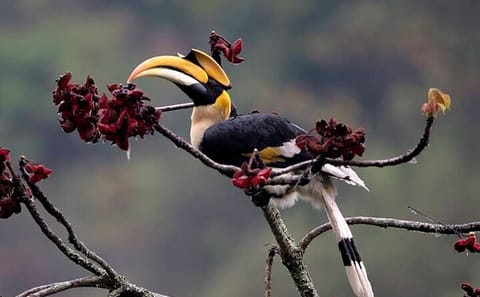 Cultural and Nature Trekking Tour in Central Bhutan
