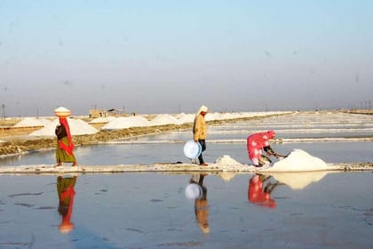 Sambhar Salt Lake day tour from Jaipur