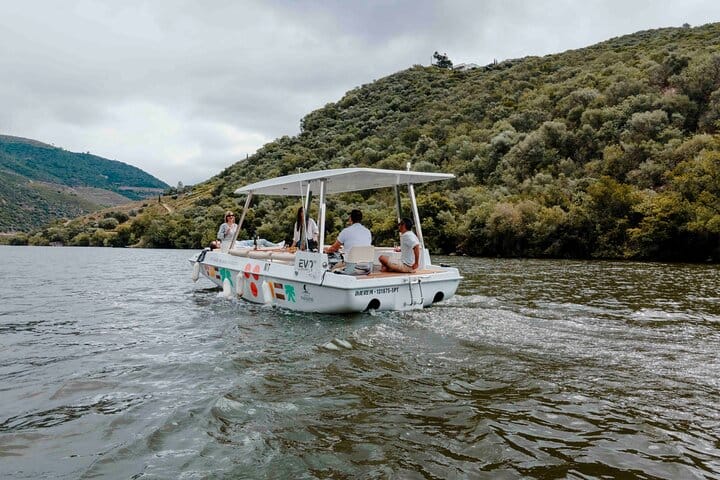 Douro Valley: 1h Solar Boat Experience Two Wine Tasting