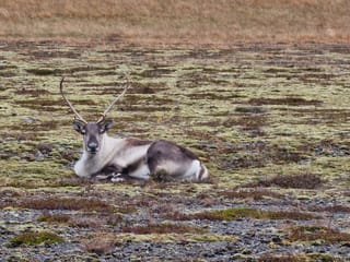 3-Day South East Photography Tour With Sindri: Local's Touch and Dinner at My Home, photo 13