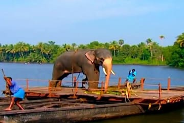 Kerala Package for 8 Days with Private Vehicle.
