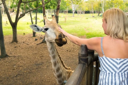 Nairobi Safari: Giraffe Center, Beads Workshop & Karen Blixen Museum