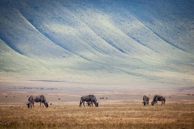 10-Day Kenya & Tanzania 4WD Safari Adventure