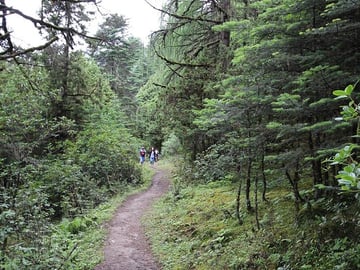 Walk in the nature