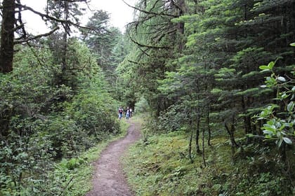 7 Days The Magical Kingdom of Bhutan