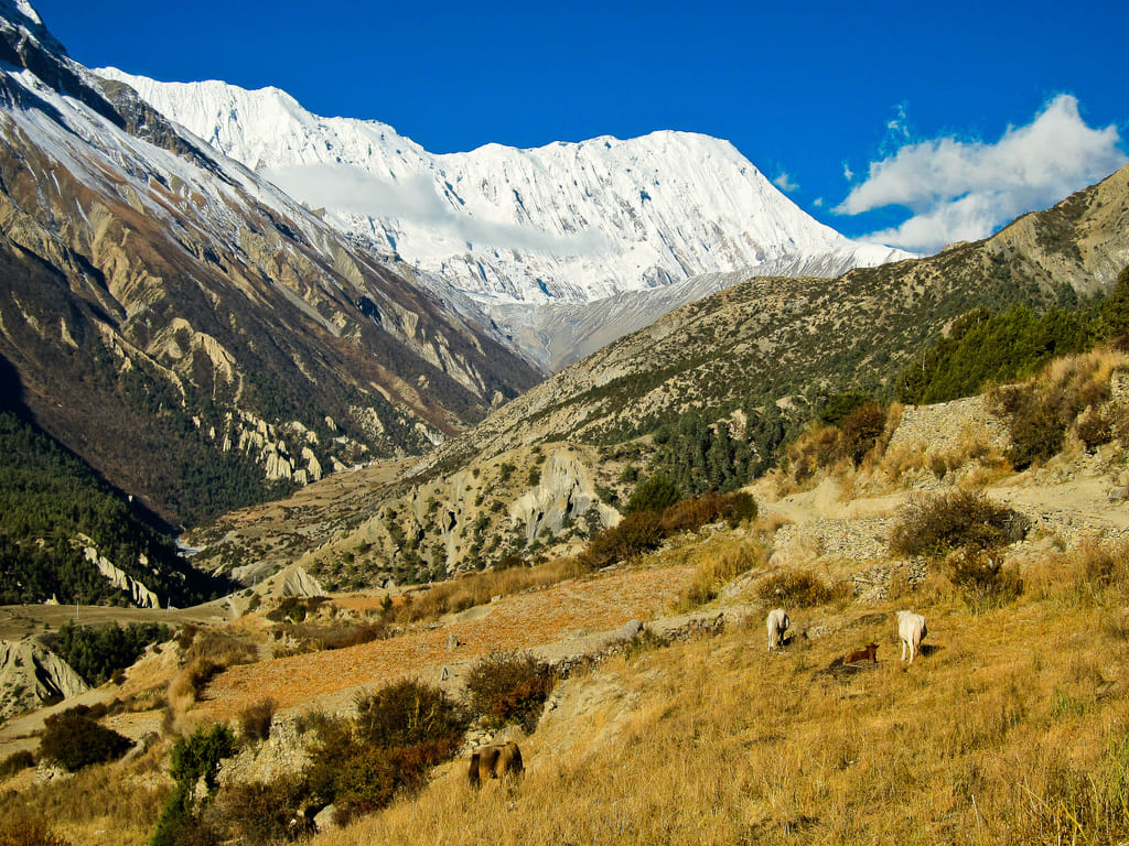 19 Days Mera Peak Climbing & Expedition – One Life-Changing Himalayan Adventure