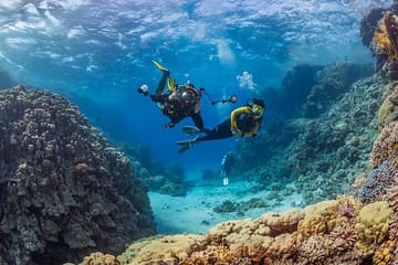 Scuba Diving and Snorkeling Adventure in Alanya, Türkiye