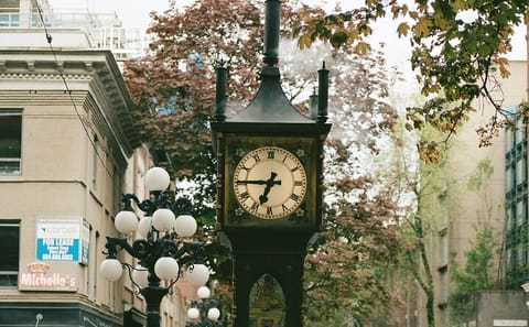 Vancouver City Tour: Explore Key Attractions in 5.5 Hours